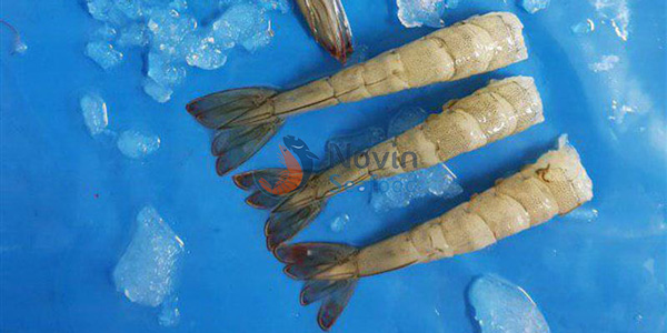 Iranian fish | HOSO shrimp