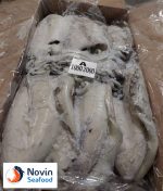 Cuttlefish - Image 2