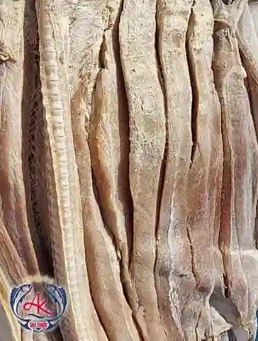 Dried Shark by Iran Fish
