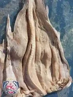 First Class Dried Shark Fish
