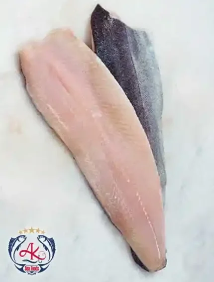Fresh Rainbow Trout Fillet Supplier