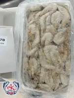 Frozen Vannamei Farmed Shrimp
