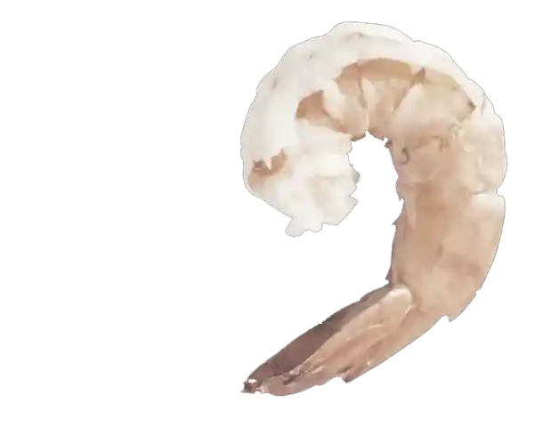 HLSO Vannamei Farmed Shrimp