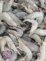 HOSO Vannamei Shrimp