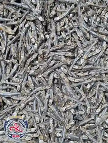 Iran Dried Anchovy Supplier