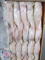 Iranian JTB Exporter