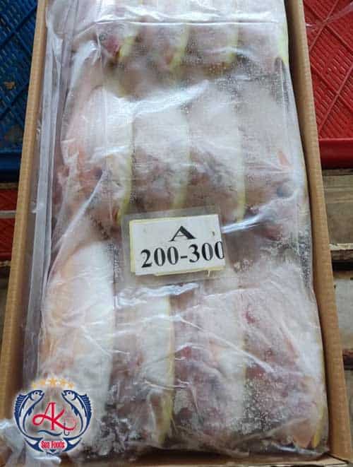 Packed JTB Fish Export