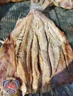 Premium Dried Shark Fish