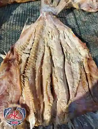 Premium-Dried-Shark-Fish Premium Dried Shark Fish
