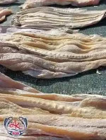 Premium Dried Whole Shark Supplier