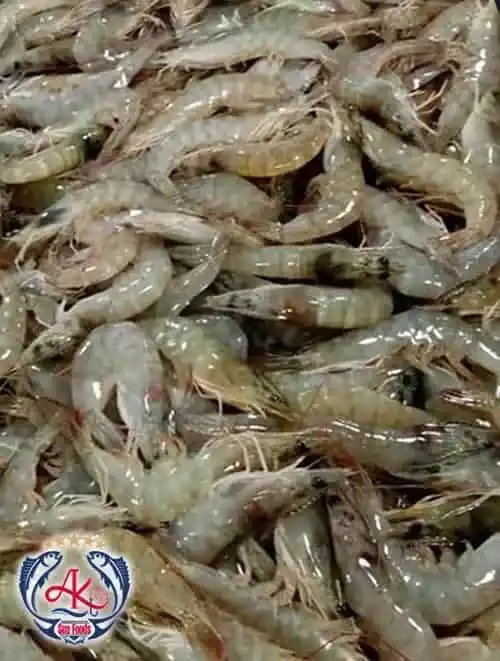 Premium Fresh Vannamei Shrimp