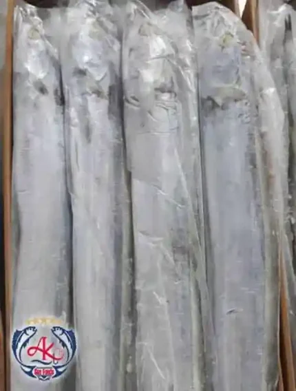 Iran Ribbonfish Supplier
