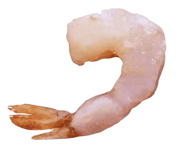 Premium PTO Vannamei Farmed Shrimp