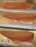 Premium Iranian Salmon Trout Fillet
