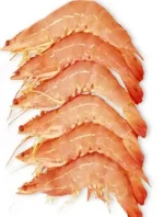 First Class Wild Caught Shrimp from Iran