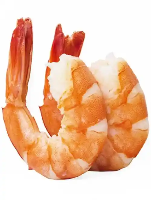 Fresh HLSO Wild Shrimp