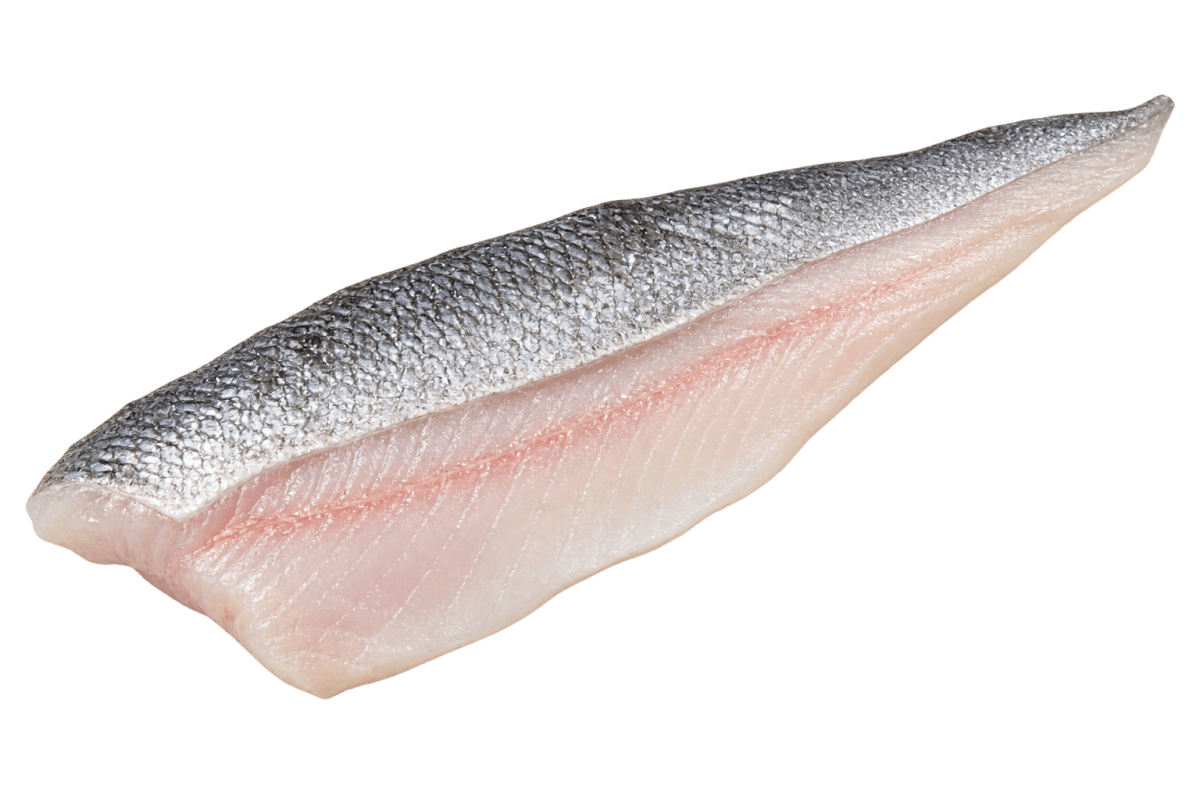 Sea bass fillet