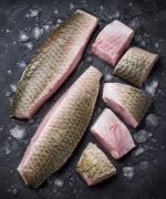 Carp fish - Image 2
