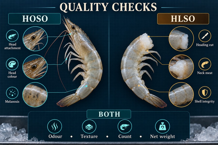HOSO and HLSO shrimp quality inspection checklist covering head, shell, texture, count and net weight