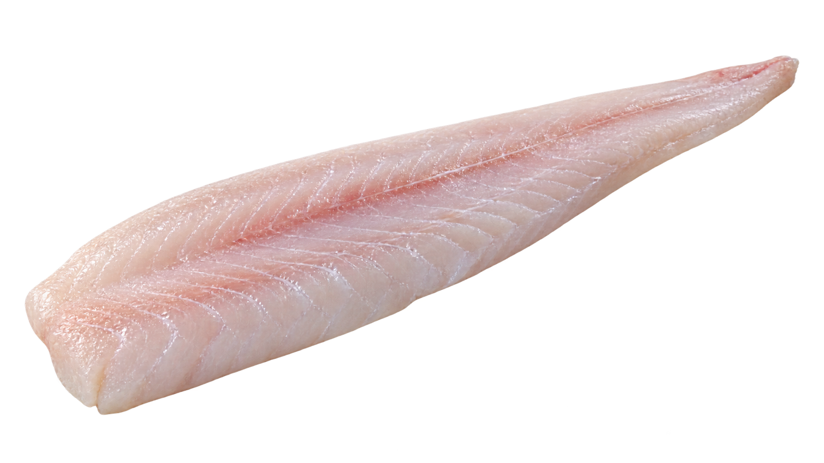 Premium lizardfish