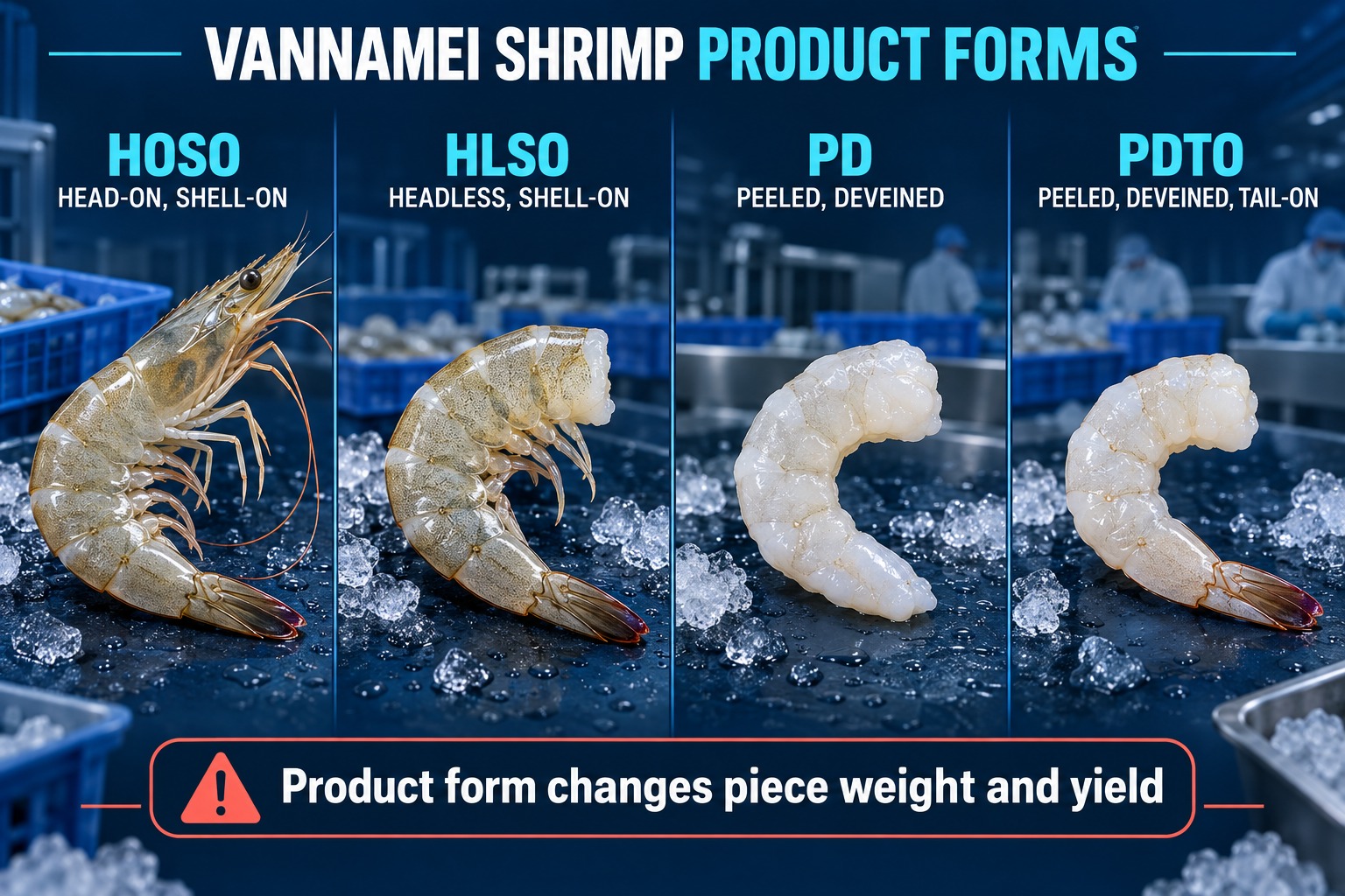 Vannamei shrimp product forms infographic comparing HOSO, HLSO, PD and PDTO